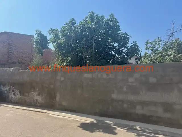 Terreny residencial en venda a Bellcaire d'Urgell, imagen 2