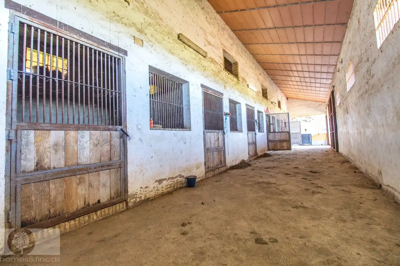 Finca rústica en venta en Trigueros