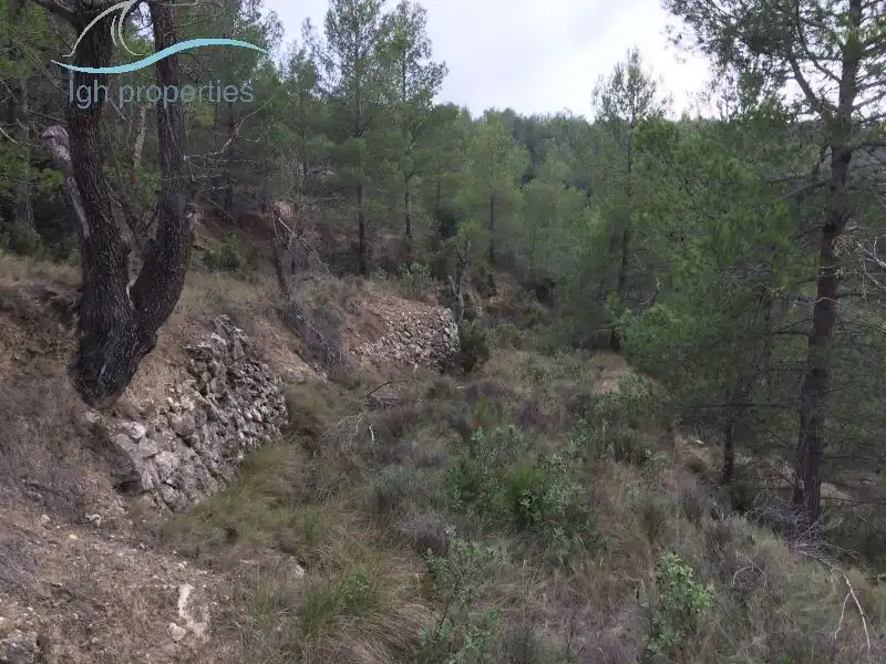 Finca rústica en venta en Partida garrachico, Torremanzanas / La Torre de les Maçanes