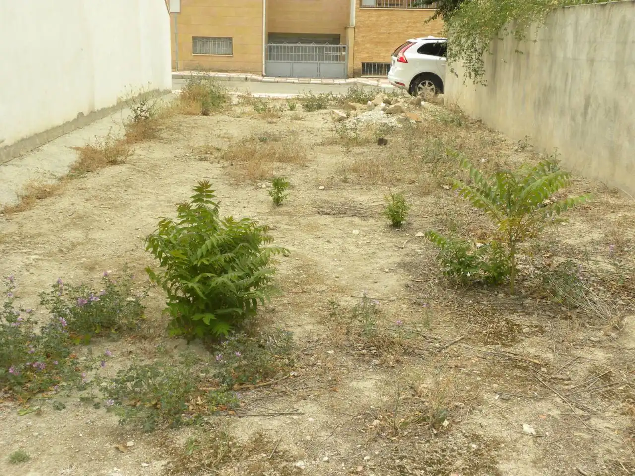 Terreny rústic en venda a Caravaca de la Cruz, imagen 7
