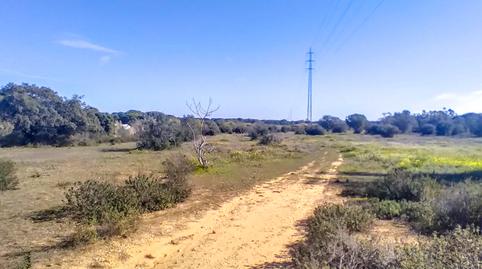 Foto 3 de Finca rústica en venda a Calle Camino de la Ermita, Villablanca, Huelva