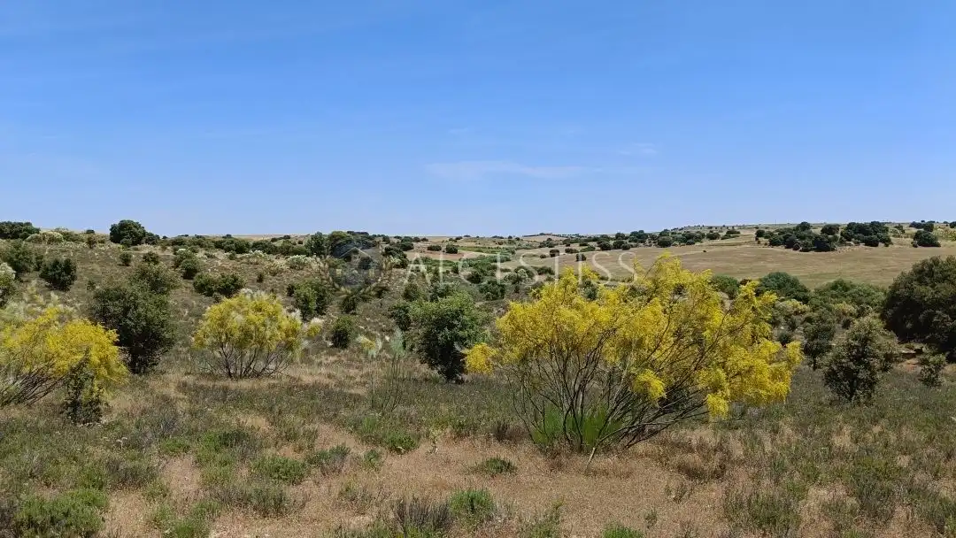 Terreno en venta en La Torre de Esteban Hambrán
