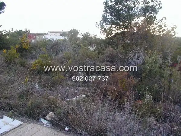 Rural land for sale in Veintiuno, imagen 2