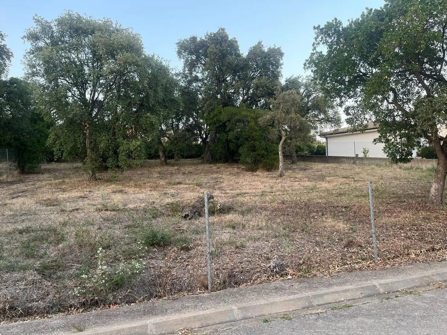 Terreny residencial en venda a Carrer Pla de l'Estany 3, imagen 8