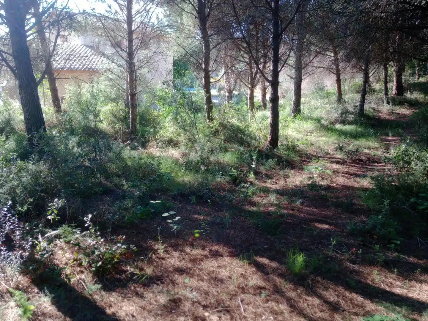 Residential for sale in L'Albiol
