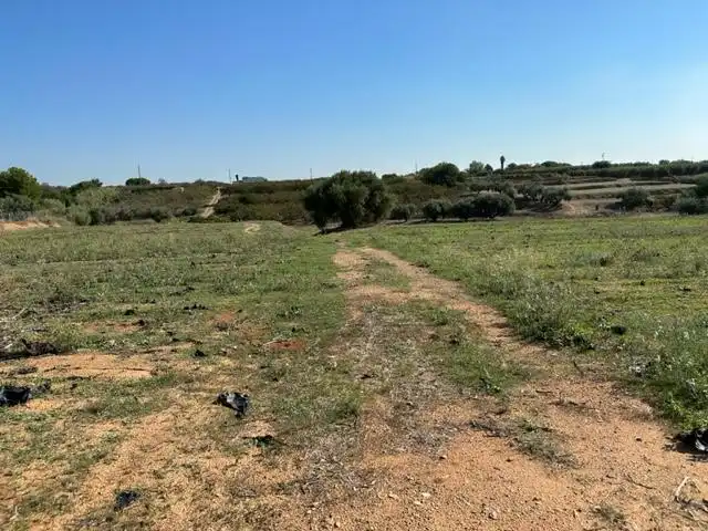 Terrenys i solars en venda a DEL REMEI, imagen 22
