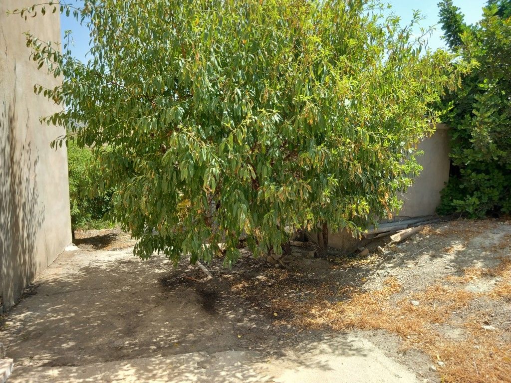 Country homes for sale in Lubrín