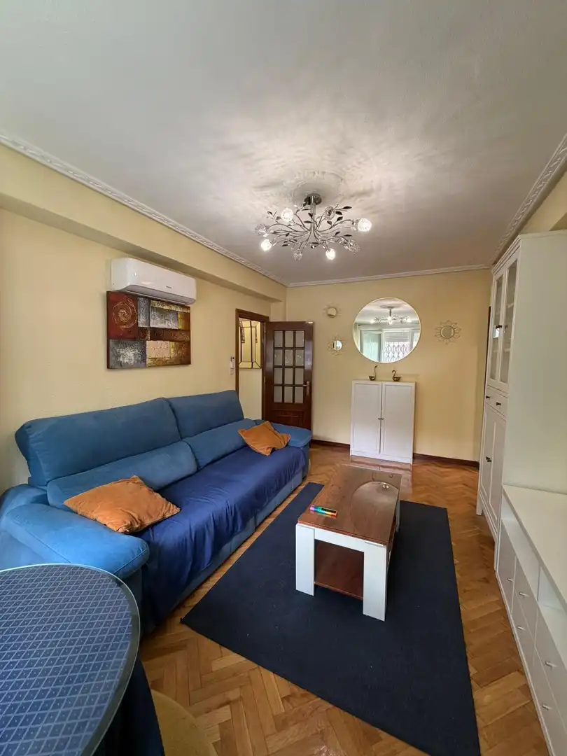 Sala de estar de Piso de alquiler en Madrid con Aire acondicionado, Calefacción y Parquet