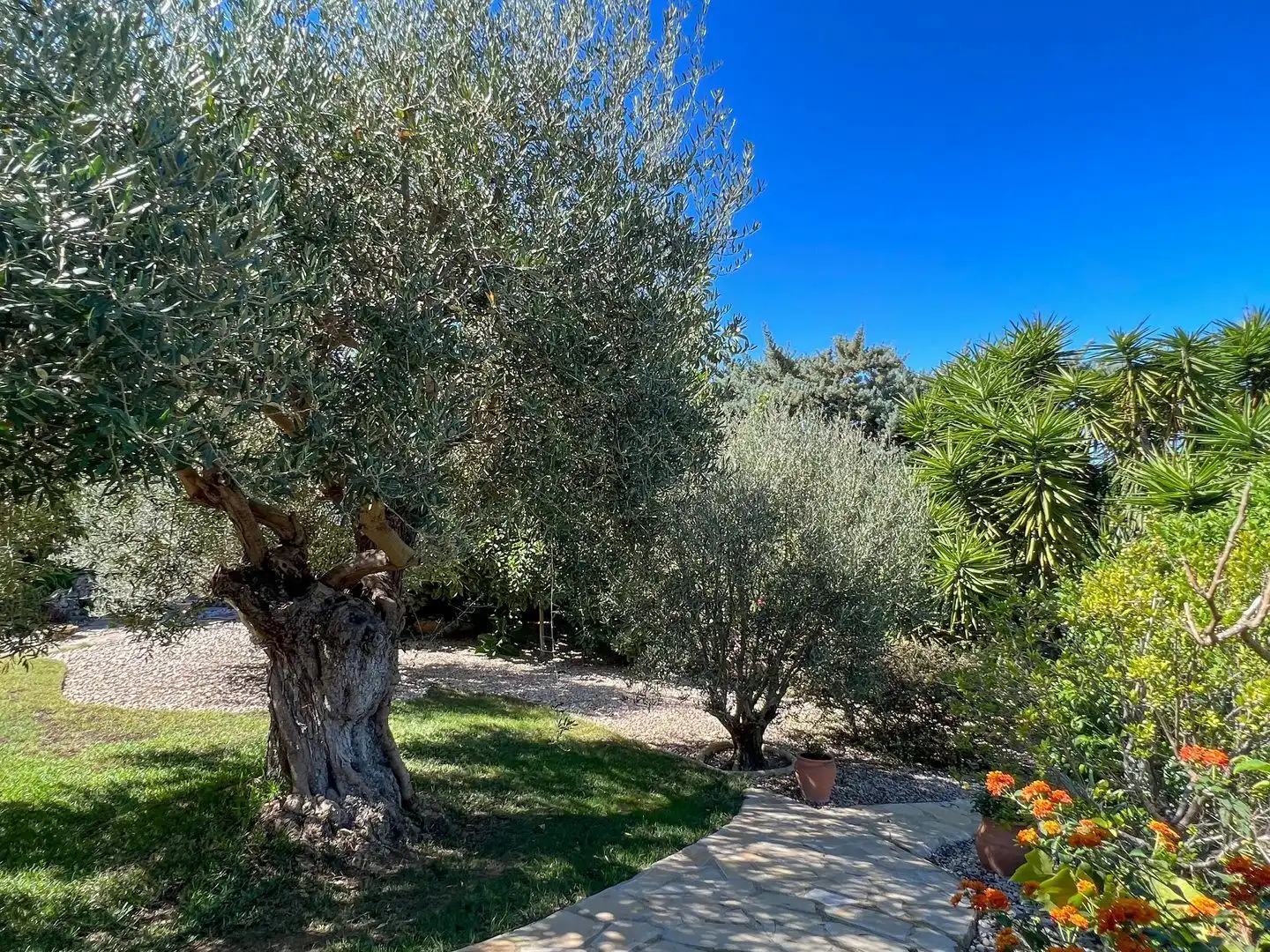 Casa con piscina en venta en La Fustera, imagen 48