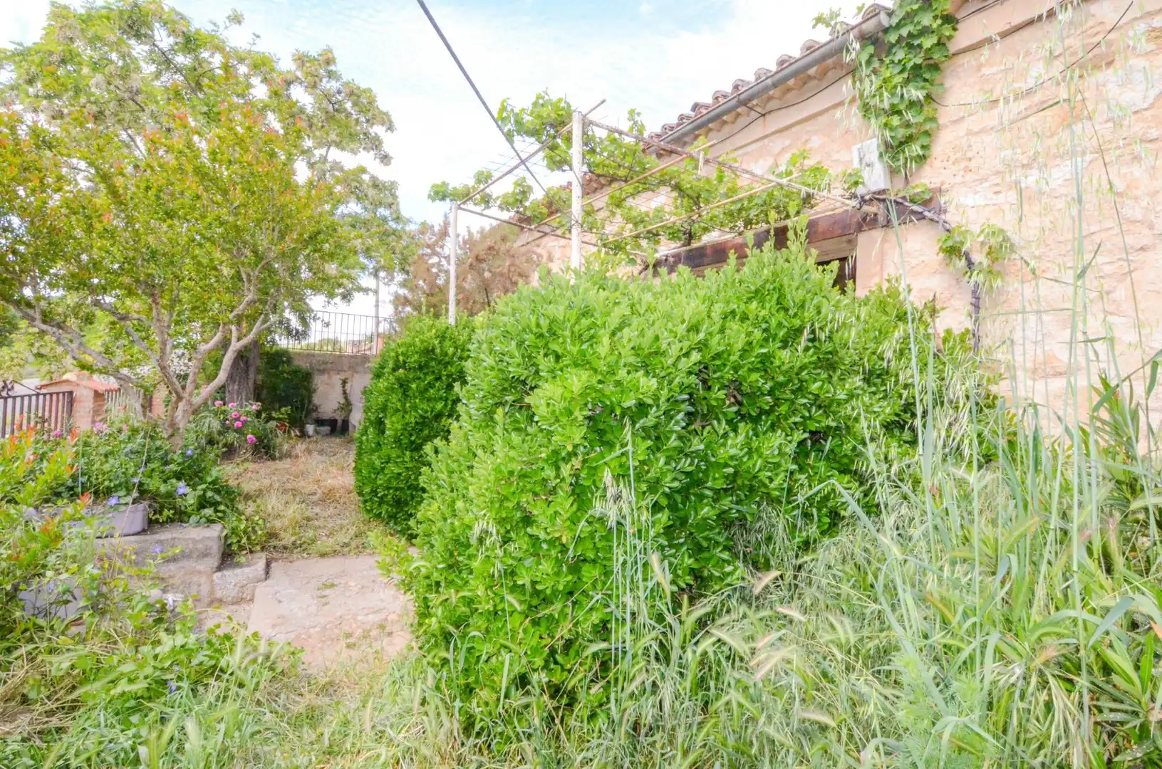 Jardí de Residencial en venda en Doñinos de Salamanca