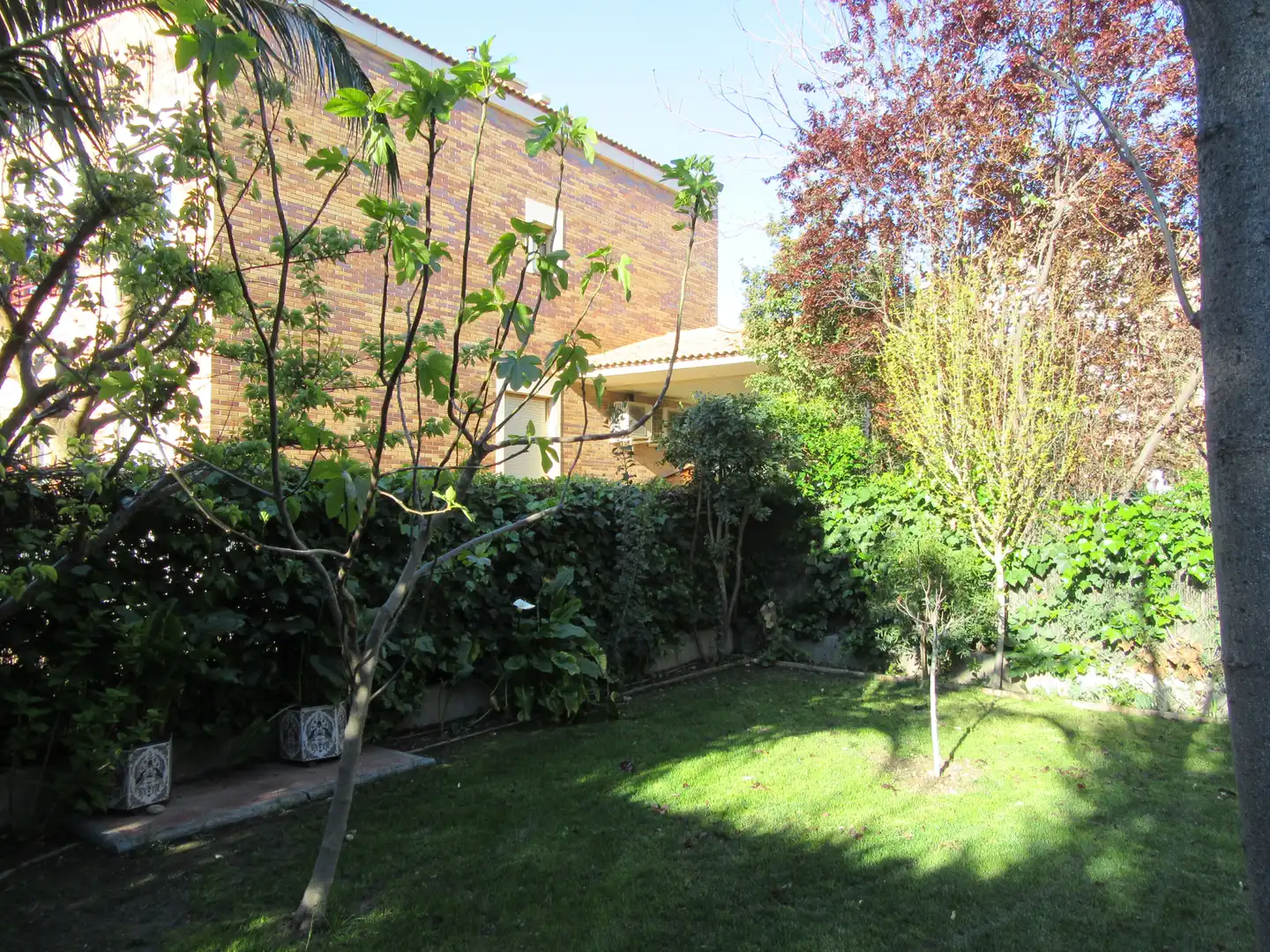 Garden of Detached homes for rent in Zaragoza  with Air Conditioner, Heating and Private garden