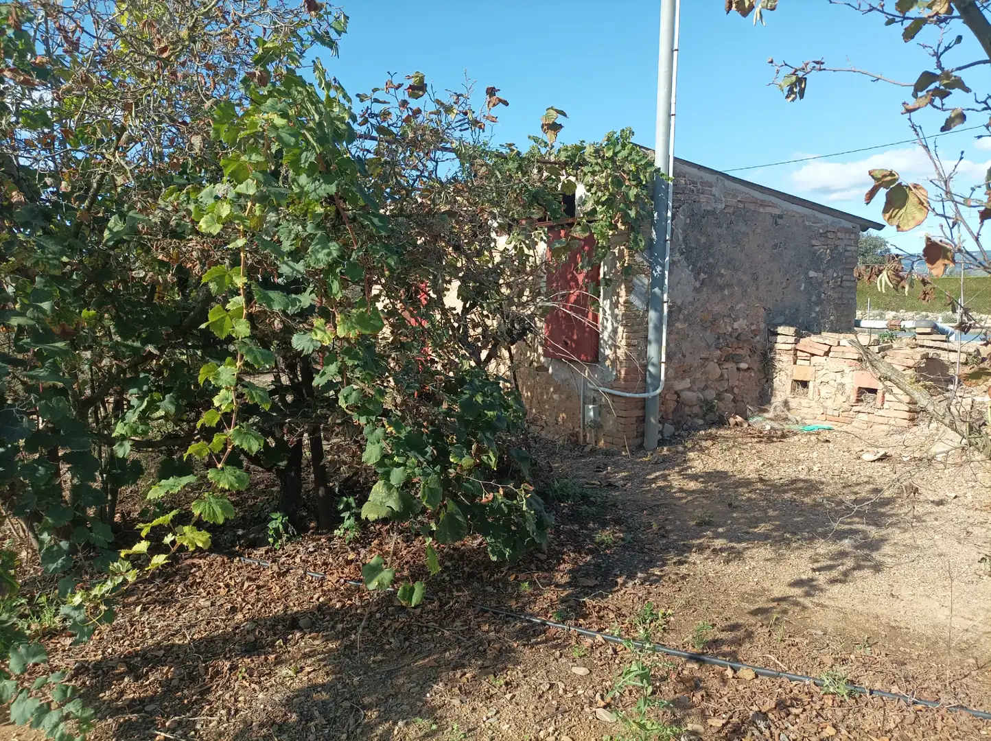 Terreno en venta en Vilallonga del Camp