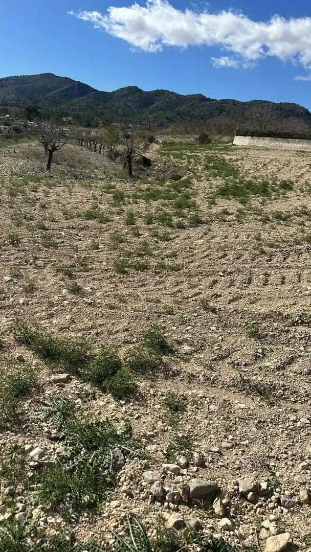 Terreno rustico in vendita a Las Trescientas - San Francisco - Ciudad Vergel, imagen 8