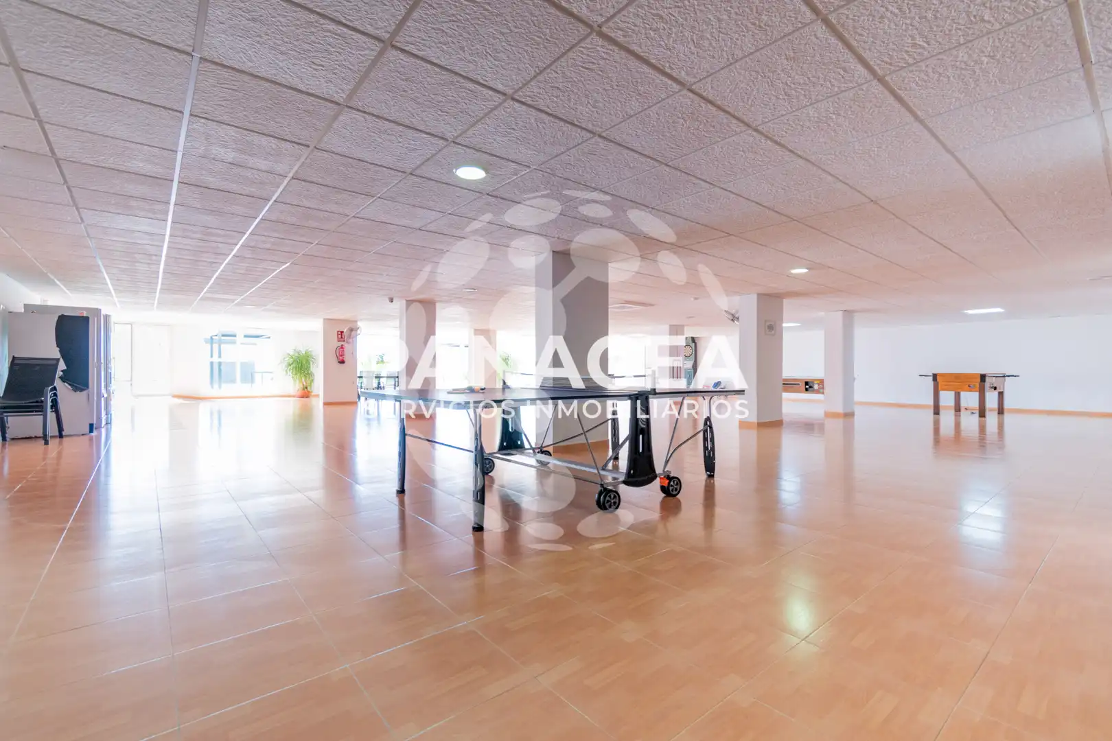 Appartamento con terrazza in vendita a La Envía, imagen 37