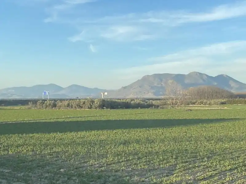 Finca rústica en venda en Vegas del Genil
