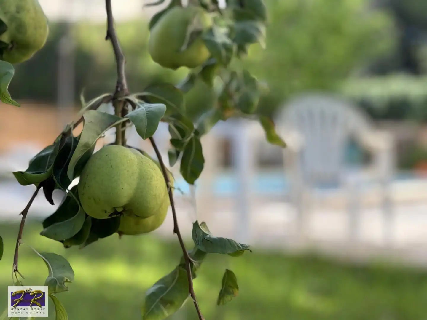 Jardí de Casa o xalet en venda en Alcúdia amb Calefacció, Terrassa i Traster