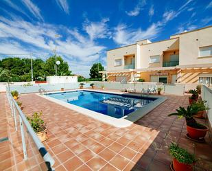 Swimming pool of Single-family semi-detached for sale in Los Montesinos  with Air Conditioner, Private garden and Terrace