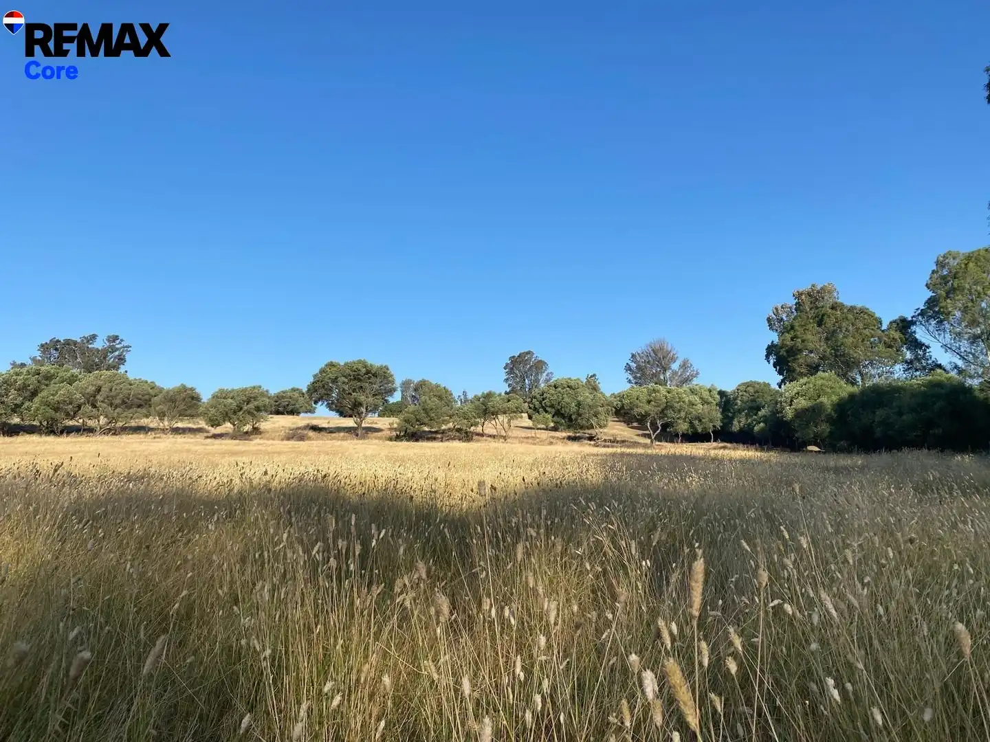 Terreny rústic en venda a Medina Sidonia, imagen 4