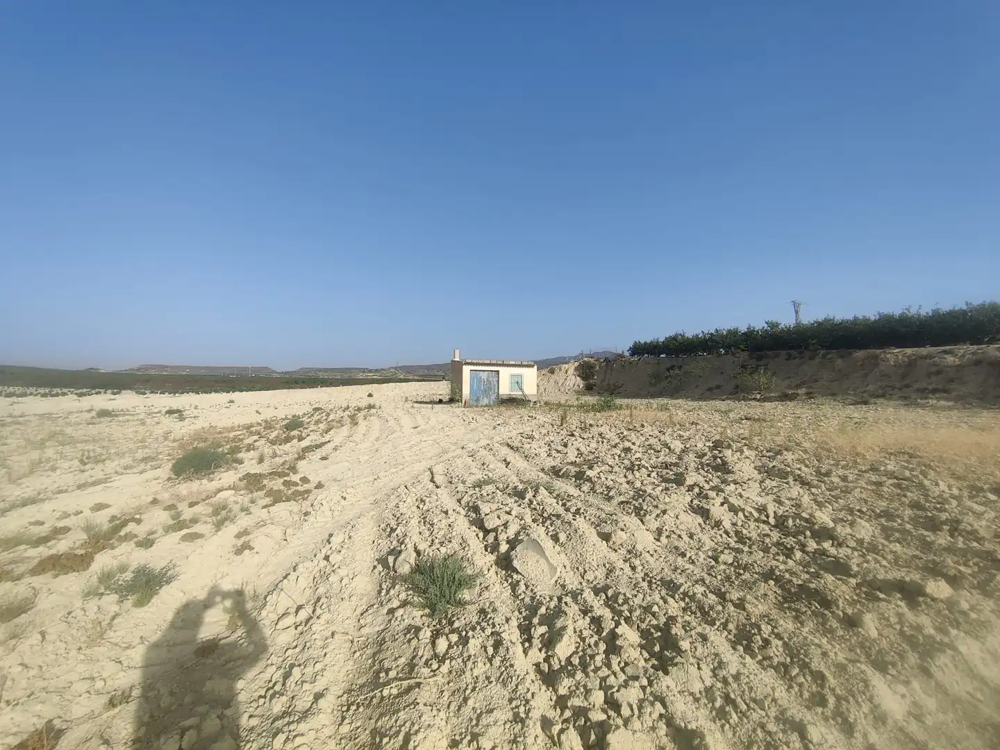 Land for sale in Ojós