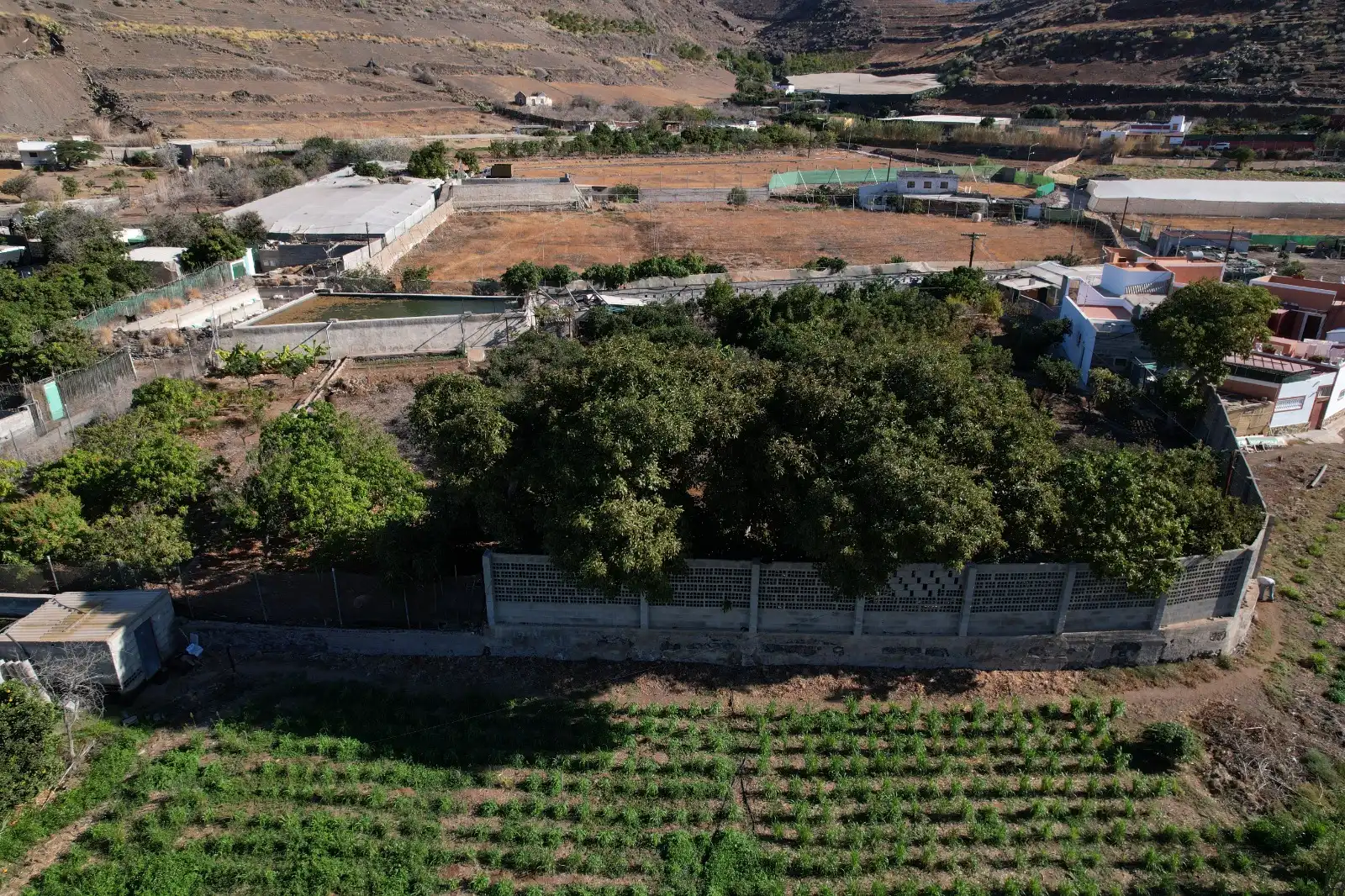 Casa rústica con jardín en venta en La Aldea de San Nicolás, imagen 2