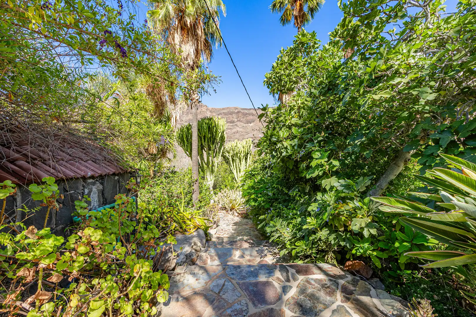 Casa o xalet en venda a Vial Camino, 1, San Bartolomé Interior