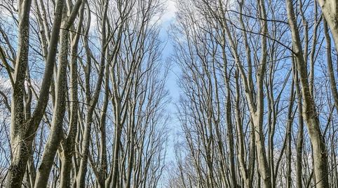 Pis de 88m2 al costat de lEscola Montfalgars de Girona, imatge 4