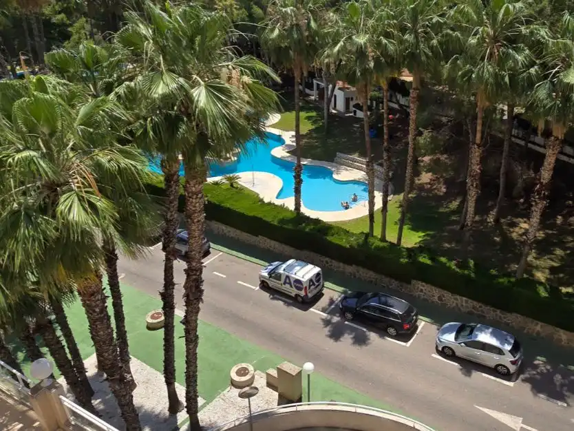 Swimming pool of Flat for sale in Orihuela Costa