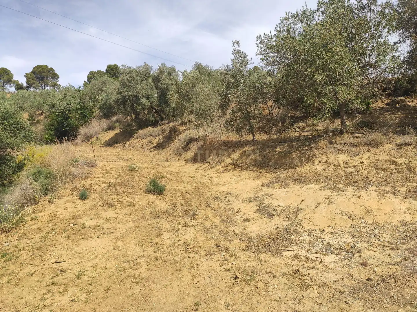 Terreni e lotti in vendita a poligono 3- parcela 102 0, imagen 18