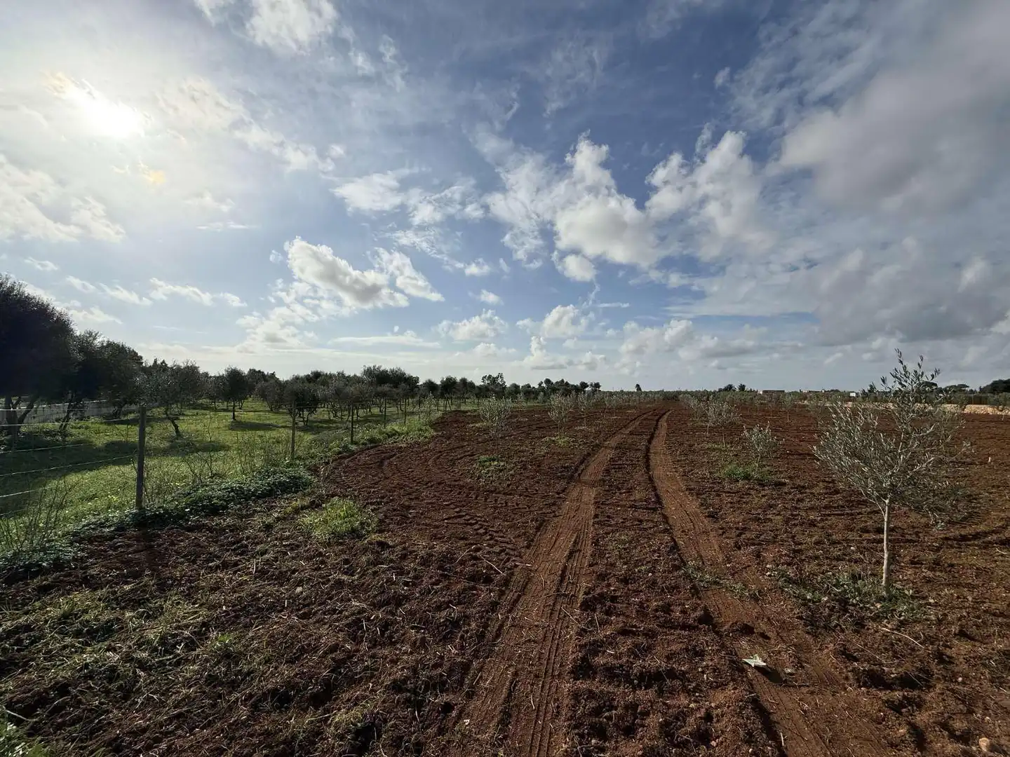 Terreno rustico in vendita a Ronda de Migjorn 64, imagen 7