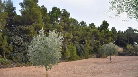 Immagine 2 dell'annuncio