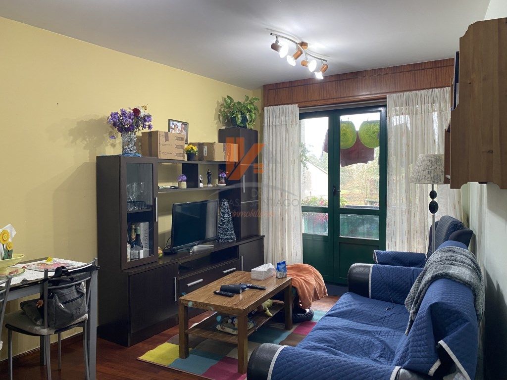 Sala d'estar de Pis en venda en Ames amb Forn i Balcó