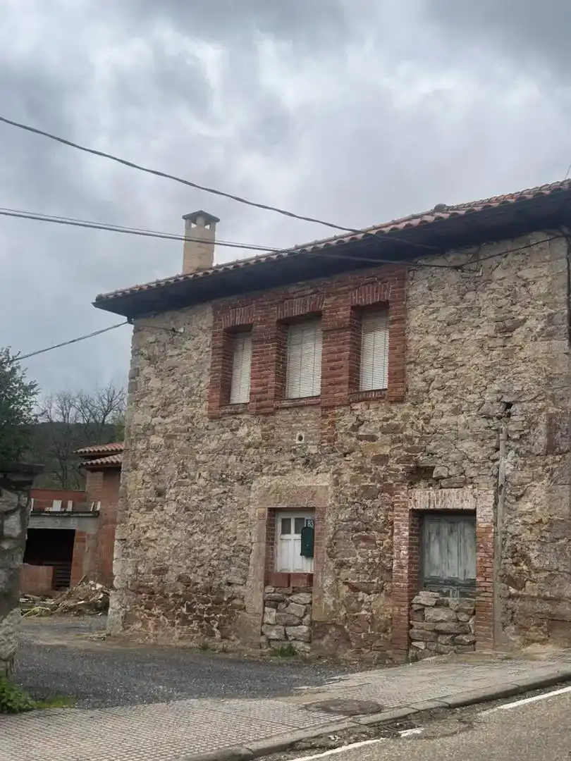 Vista exterior de Casa o chalet en venta en La Vecilla con Jardín privado