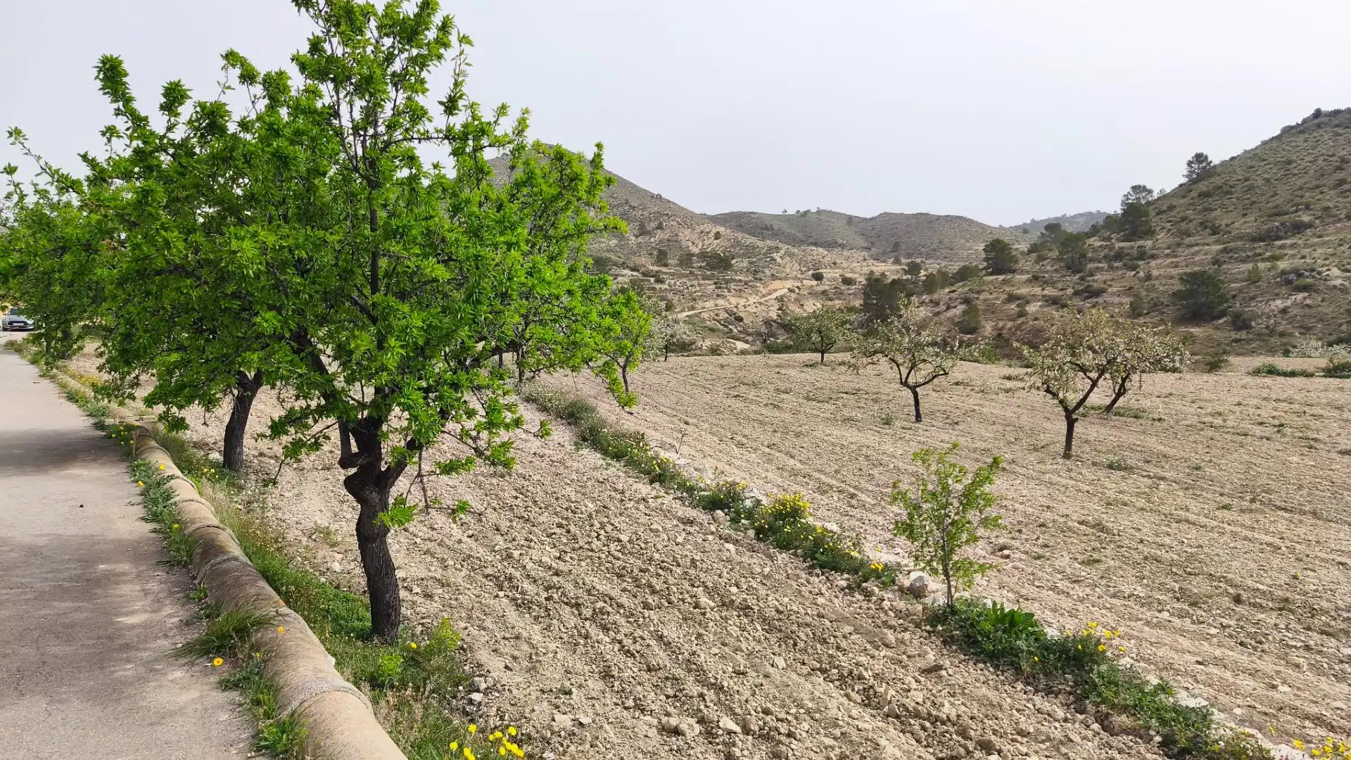Finca rústica en venta en Aigües con Jardín privado