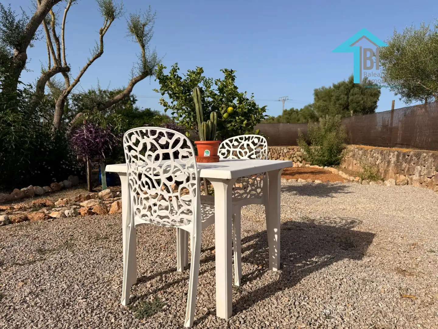 Terraza de Loft de alquiler en Felanitx