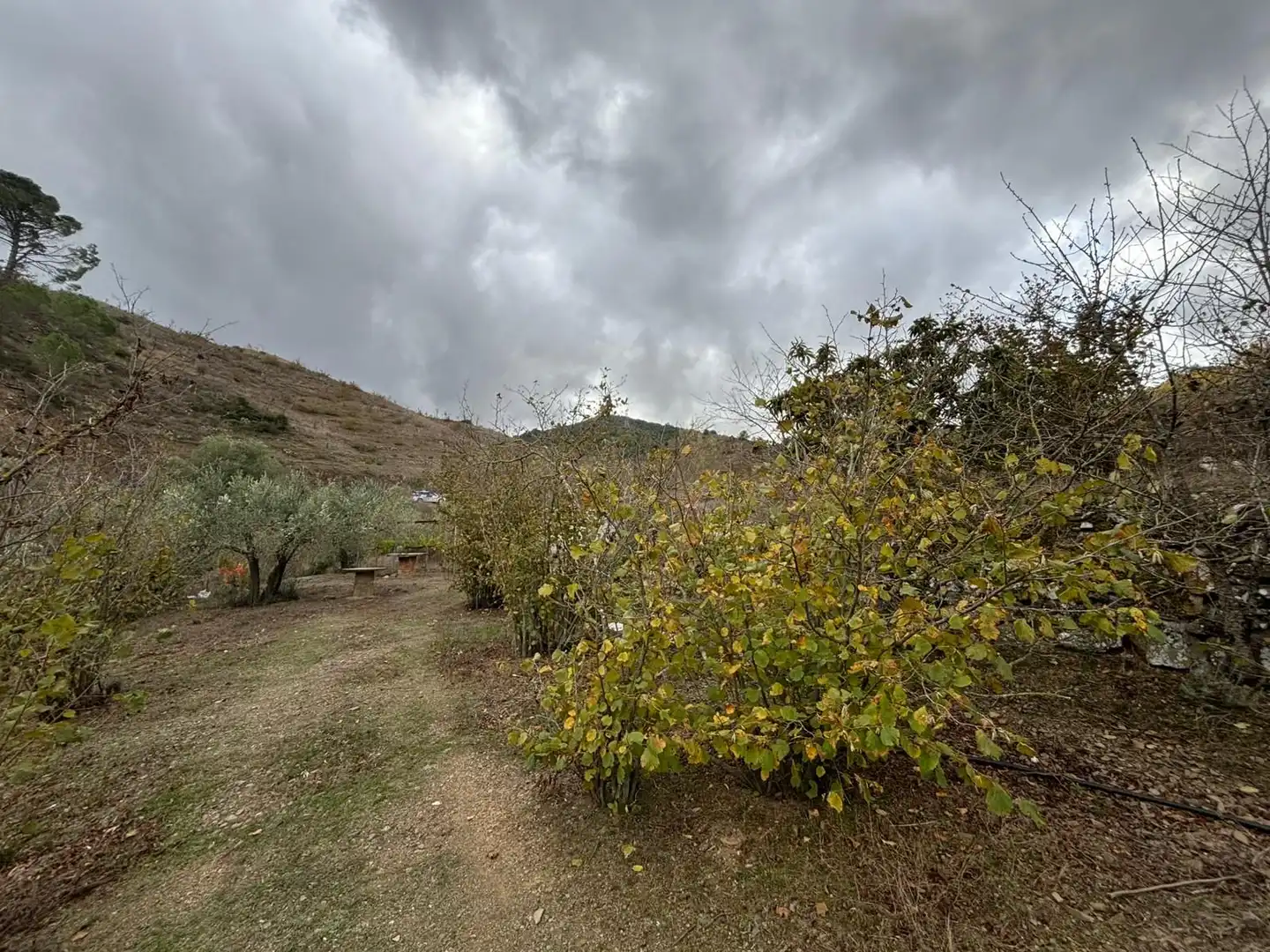 Terreno rústico en venta en Porrera, imagen 23