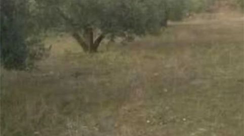Photo 2 of Land for sale in Paseo Los Caños, 2, Cortes y Graena, Granada