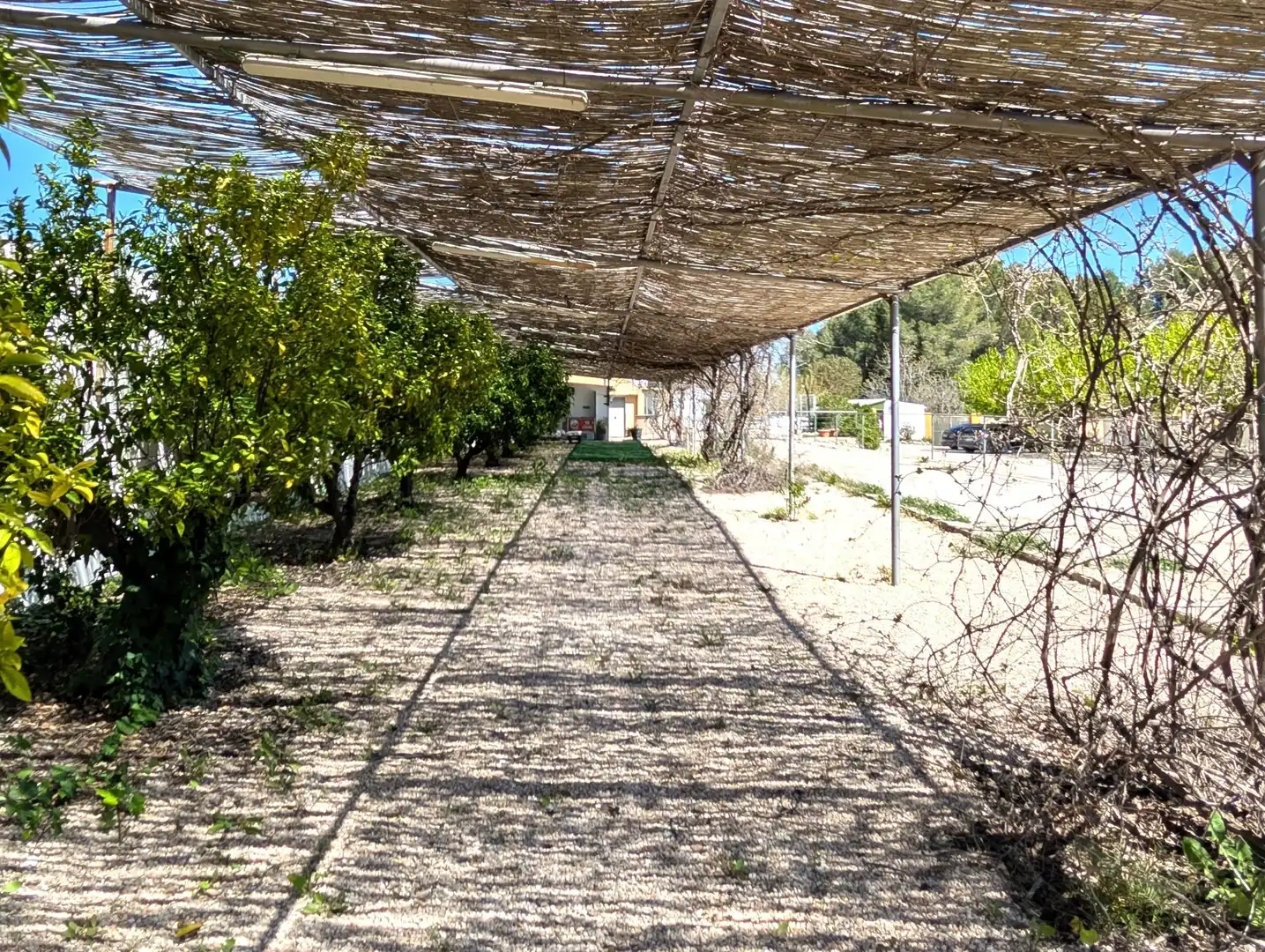 Jardí de Casa o xalet en venda en Gaianes