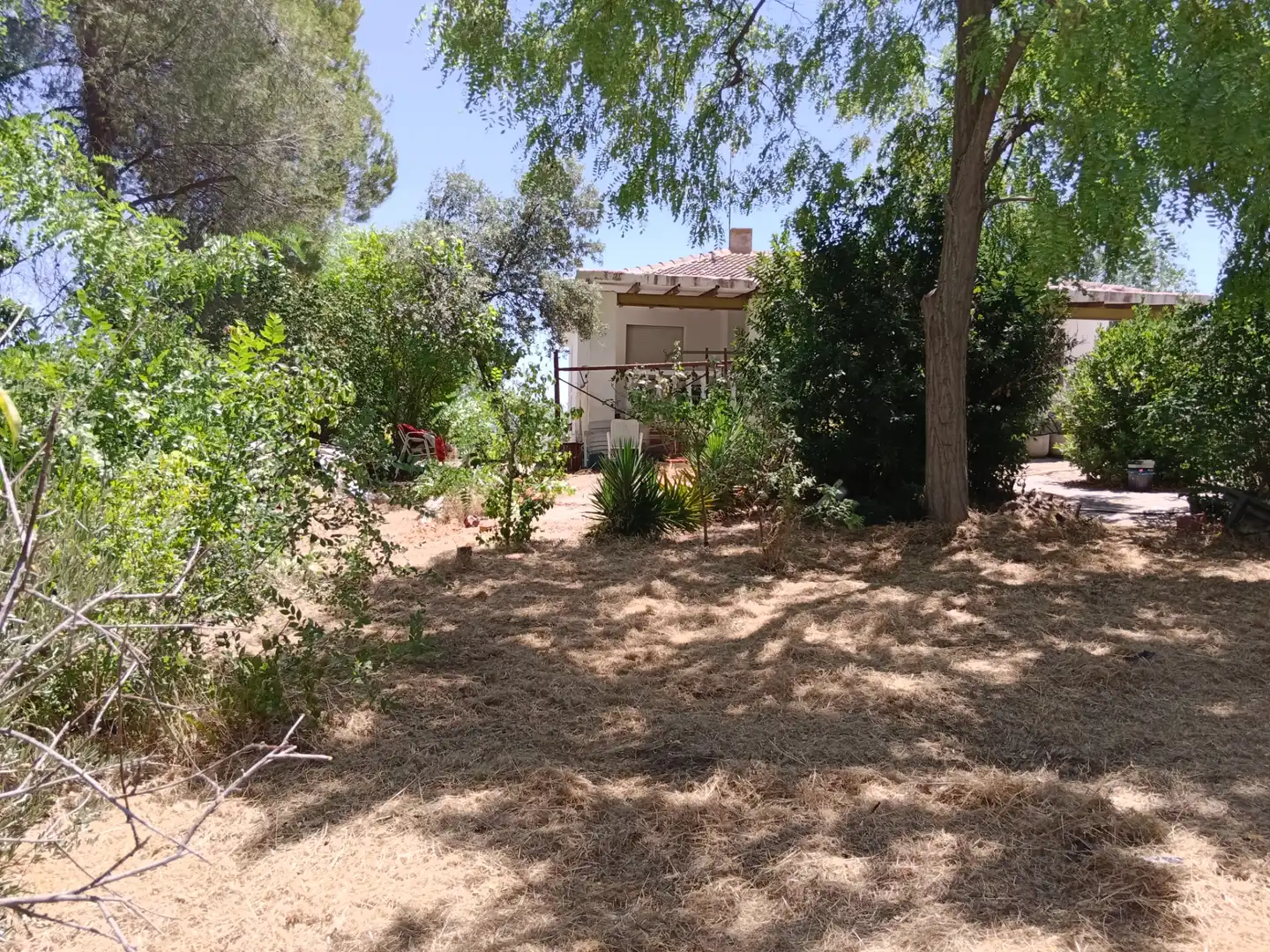Jardí de Casa o xalet en venda en Illana amb Jardí privat, Terrassa i Piscina
