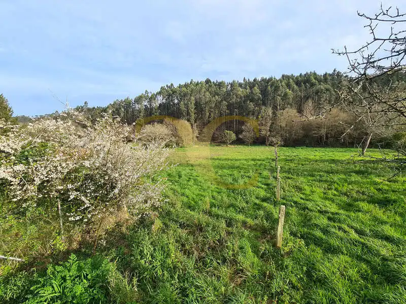 Terreni e lotti in vendita a La Loba - Las Bárzanas, imagen 10