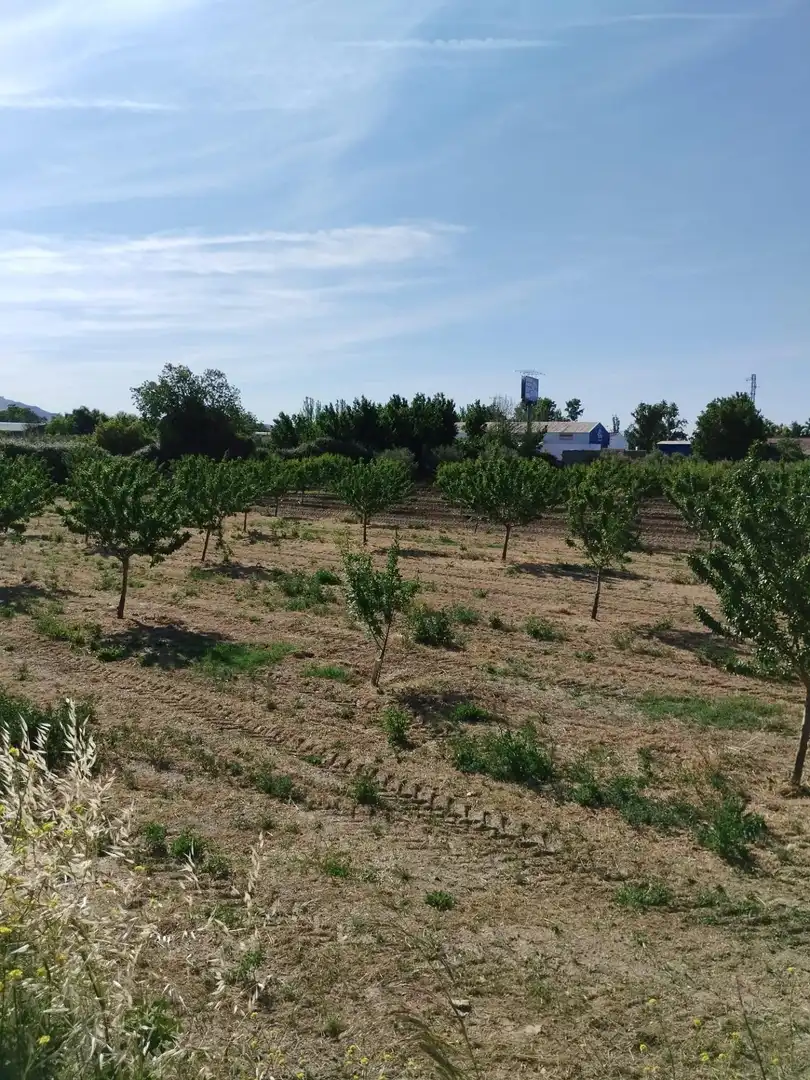 Terreni e lotti in vendita a Carretera Polígono 1 Parcela 83 PAGE BAJO. VILLA DE OTURA (, imagen 20