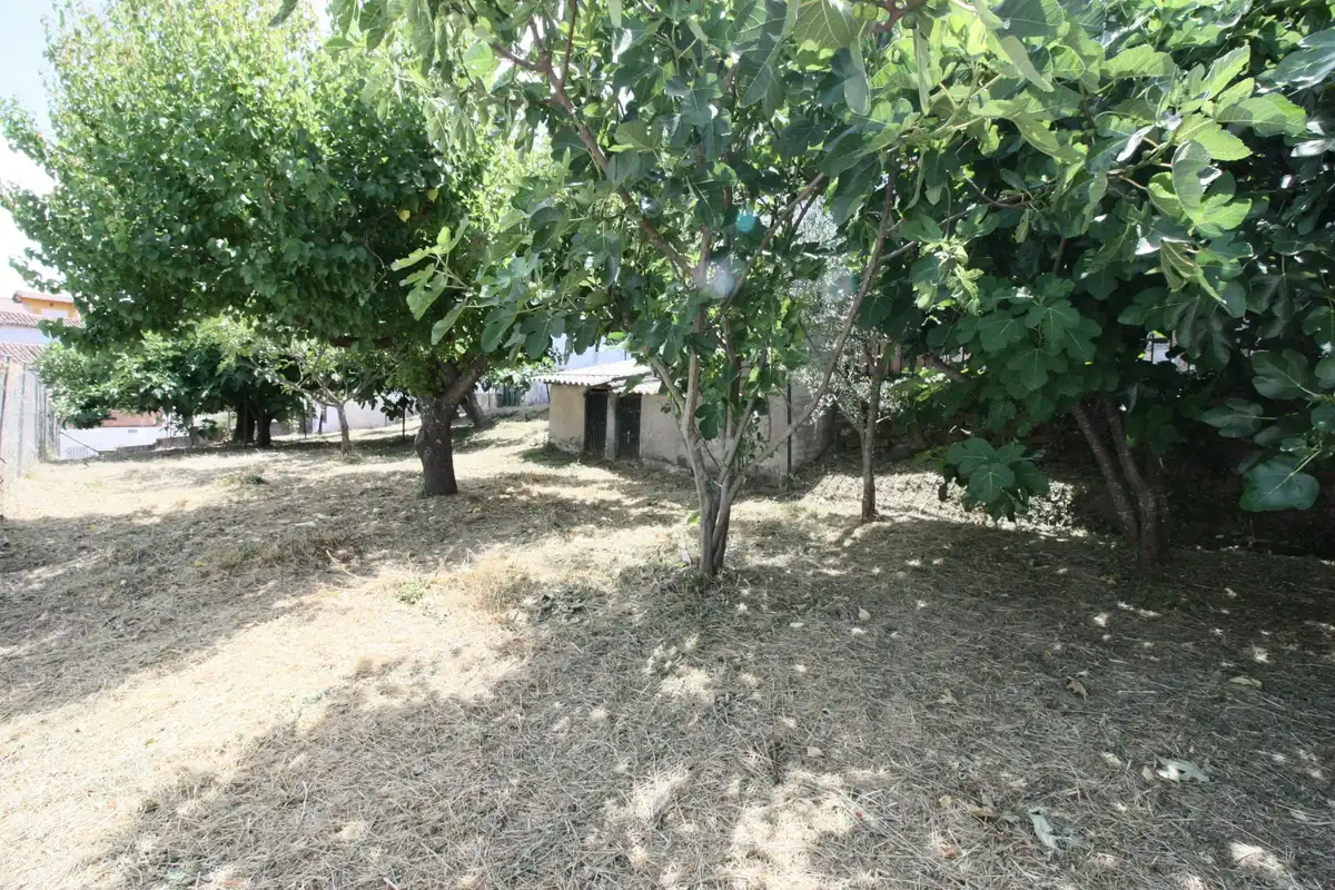 House for sale in Calle Nogal 12, imagen 25