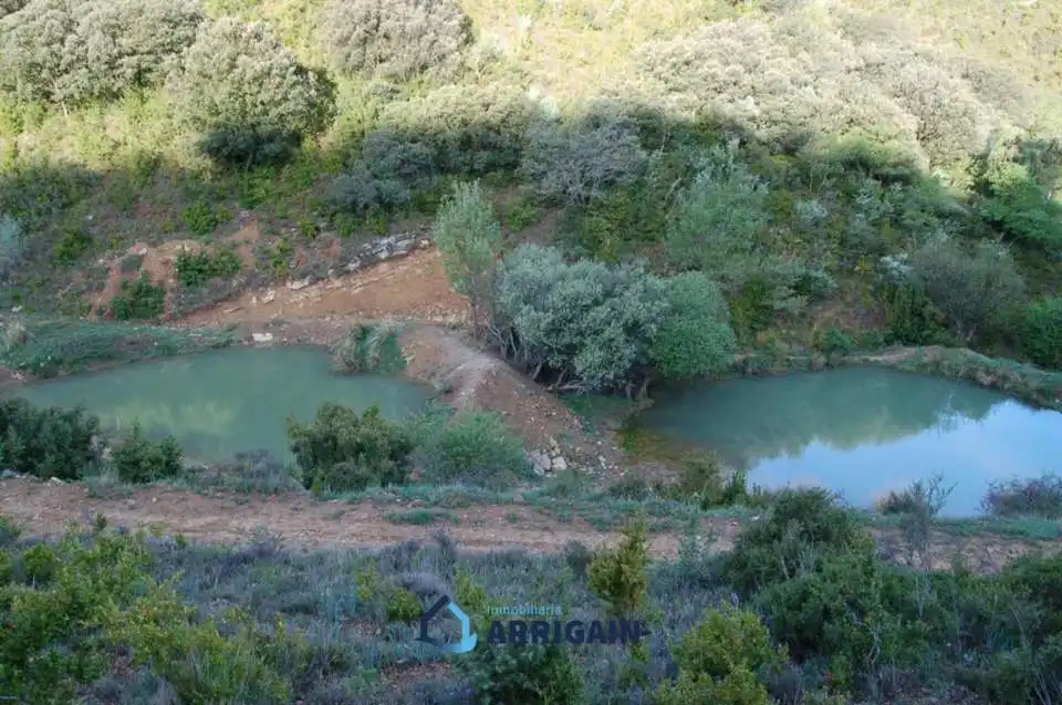 Casa o chalet en venta en La Moraleja con Jardín privado