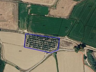 Terreno rustico in vendita a Zuera