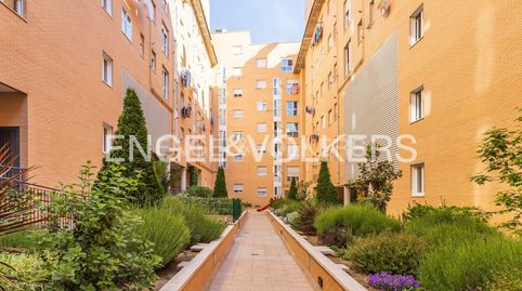 Photo 2 of Study for sale in Butarque, Madrid Capital