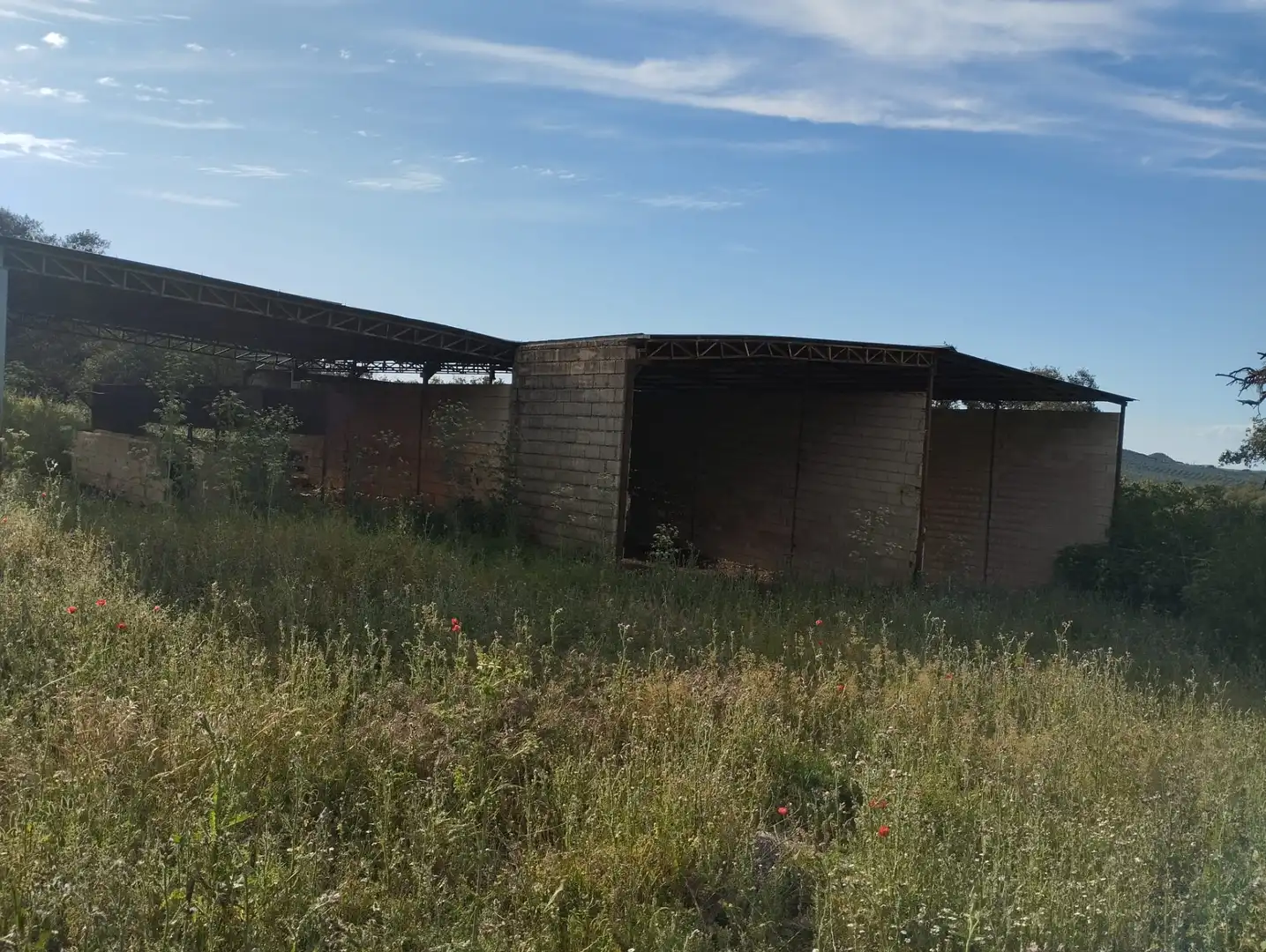 Terreno rustico in vendita a Calle Doña Mencía, imagen 6