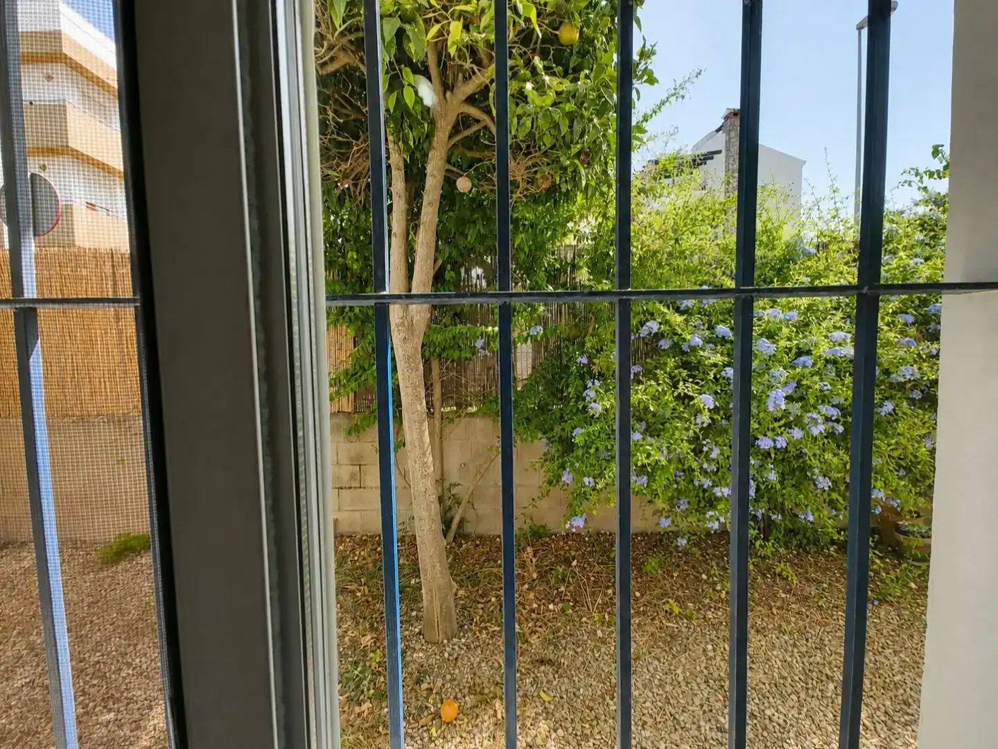Terrasse von Erdgeschoss zum Verkauf in Sanlúcar de Barrameda mit Schwimmbad