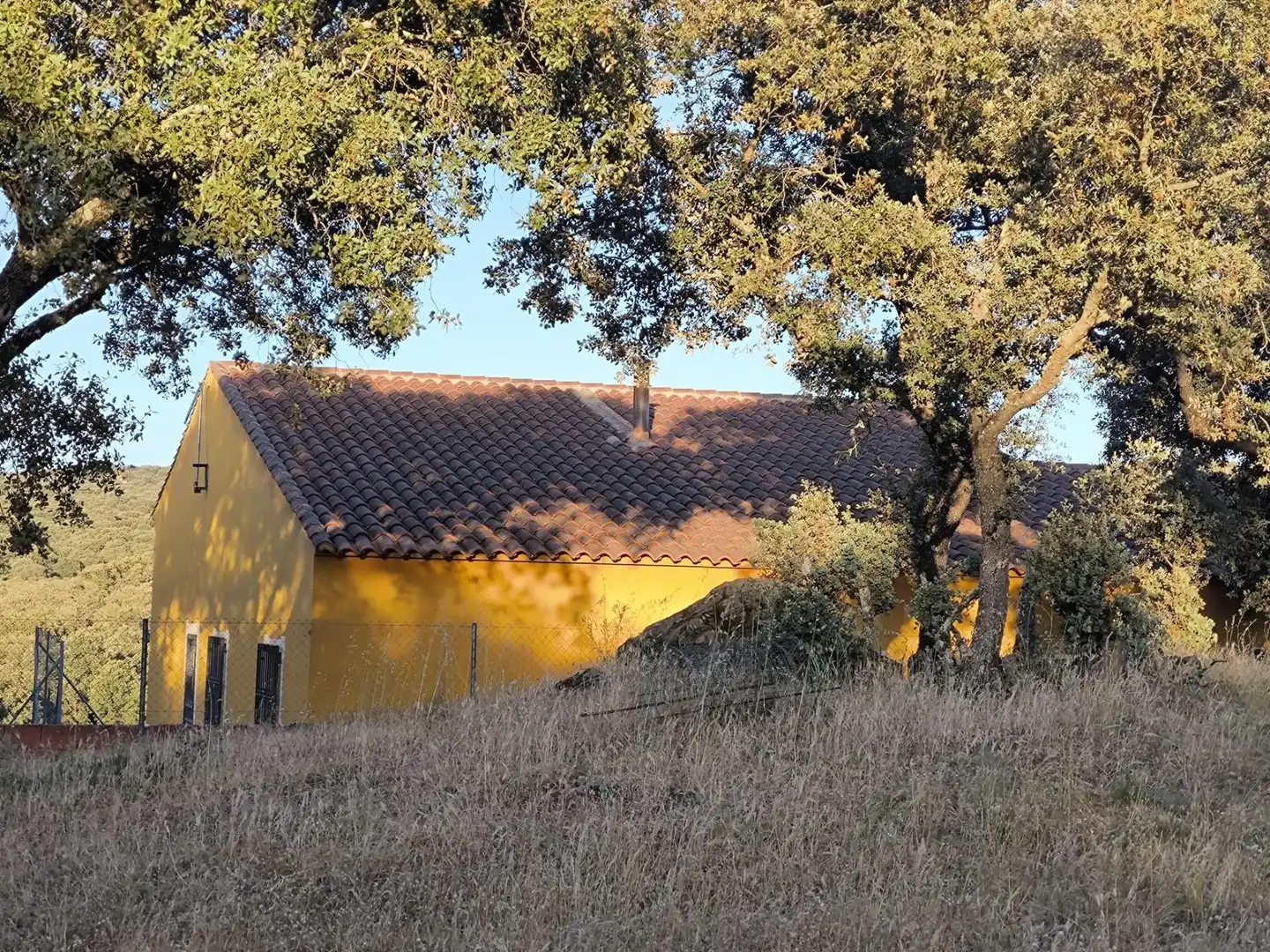 Rural land for sale in Fuente Obejuna, imagen 76