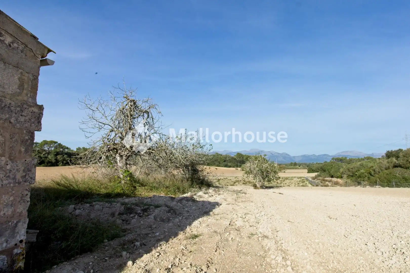 Grundstücke und Bauplätze zum Verkauf in Camino del Camp des Pi, imagen 14
