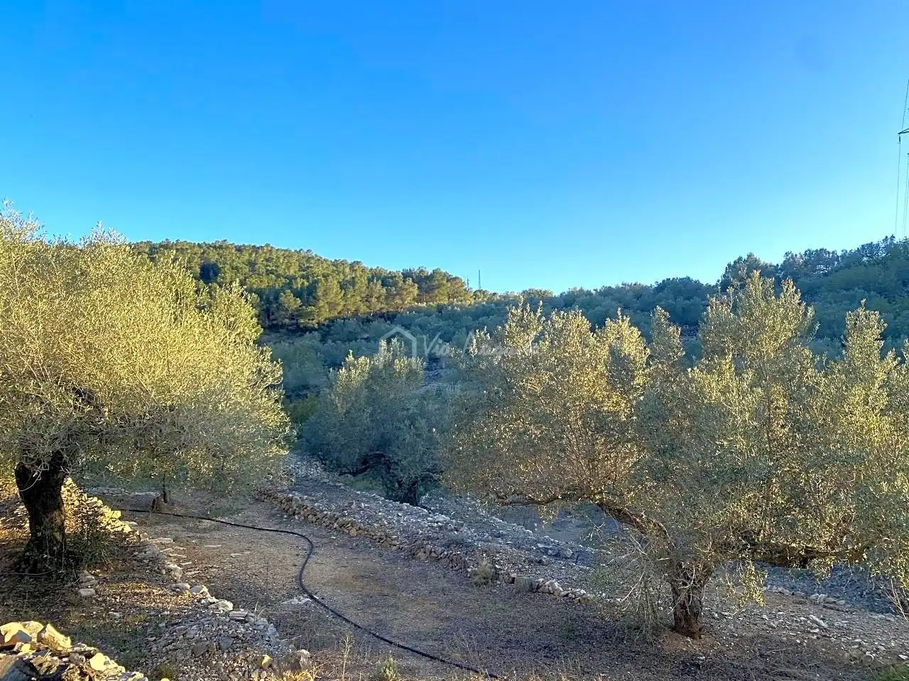 Terreno rustico in vendita a Aubach, imagen 19