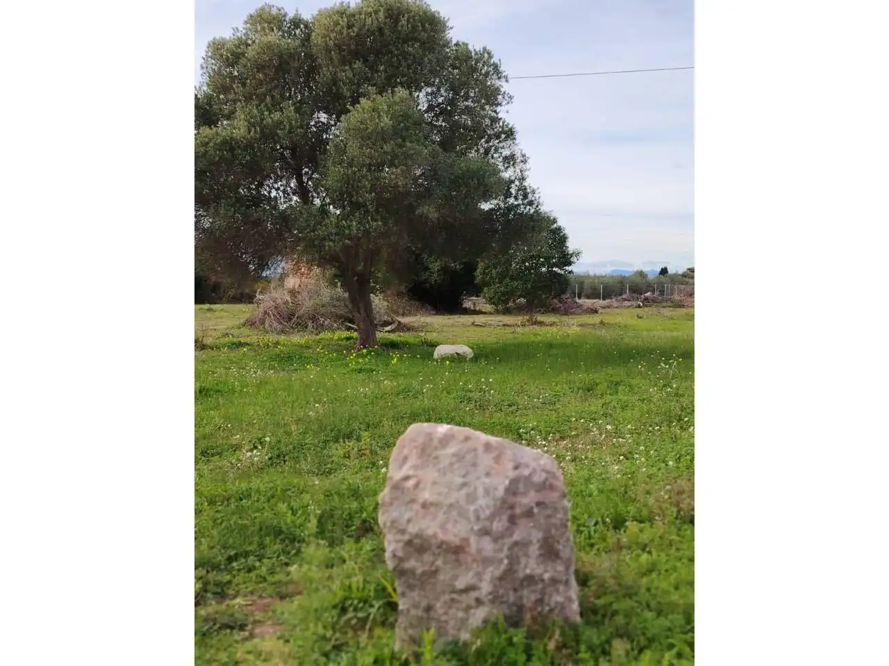 Terreny rústic en venda a Camino Donació, imagen 8